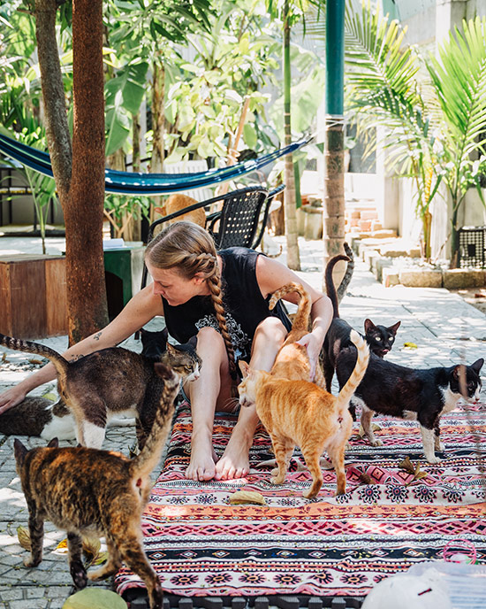 Vietnam Cat Welfare founder Emma is surrounded by may cats in the middle of Jack's Cat Cafe.