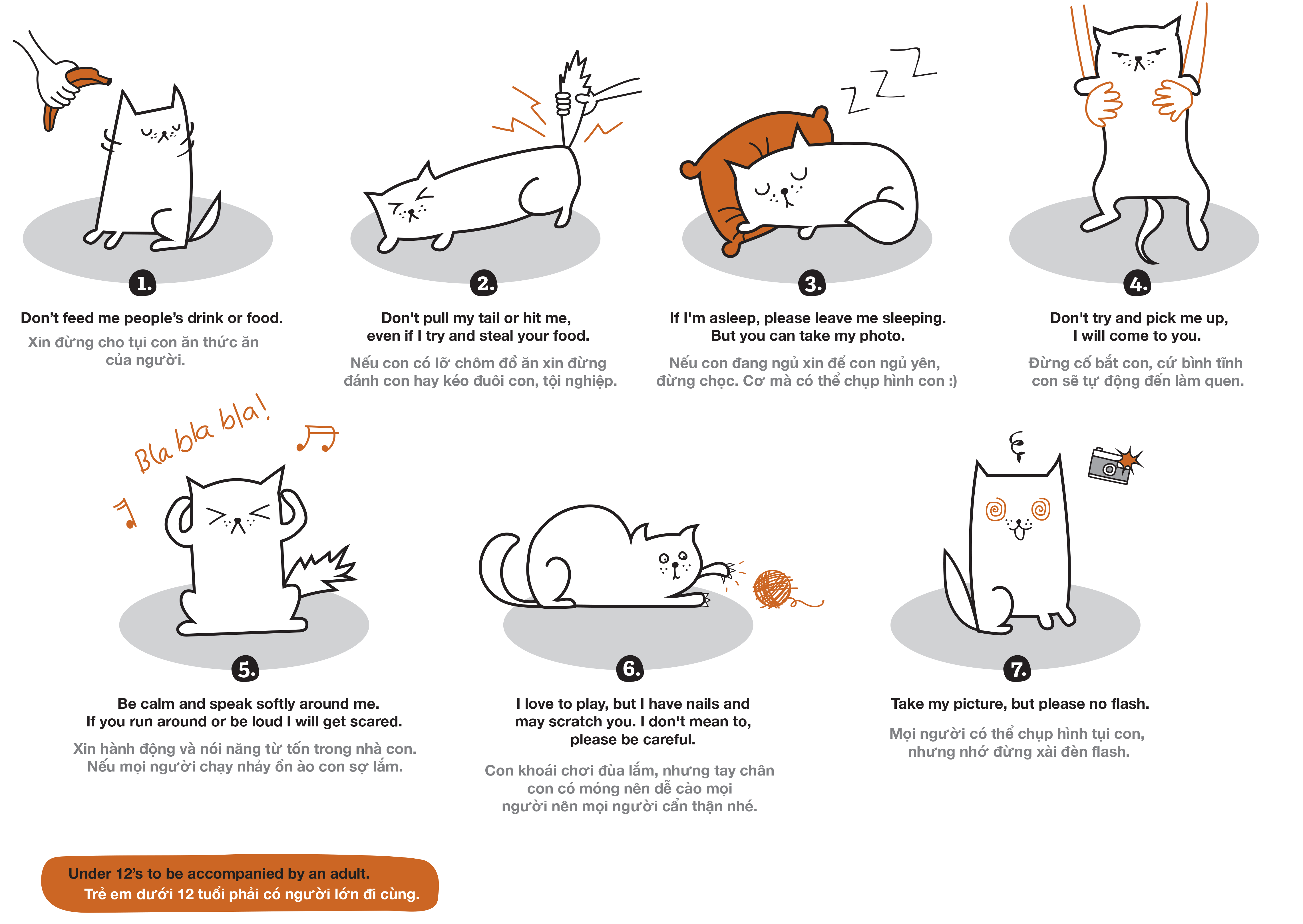 Vietnam Cat Welfare Kitty Rules